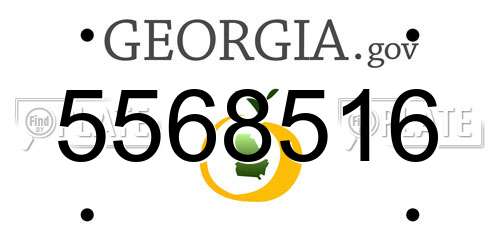 5568516 Georgia License Plate