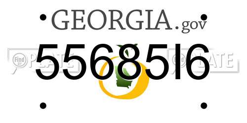 55685I6 Georgia License Plate