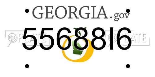 55688I6 Georgia License Plate