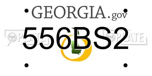 556BS2 Georgia License Plate