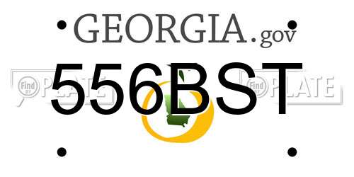 556BST Georgia License Plate