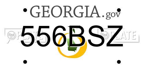 556BSZ Georgia License Plate