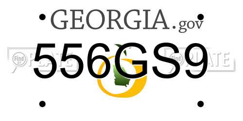 556GS9 Georgia License Plate