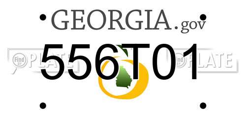 556T01 Georgia License Plate