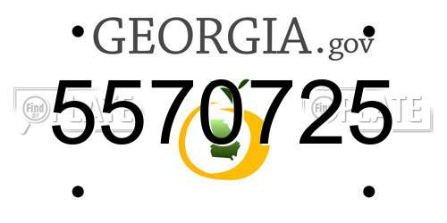5570725 Georgia License Plate