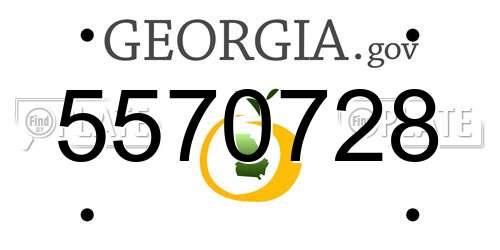 5570728 Georgia License Plate