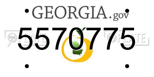 5570775 Georgia License Plate