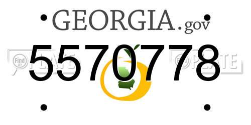 5570778 Georgia License Plate