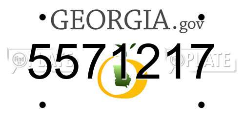 5571217 Georgia License Plate