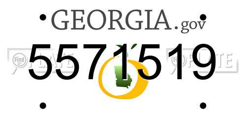 5571519 Georgia License Plate