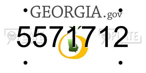 5571712 Georgia License Plate