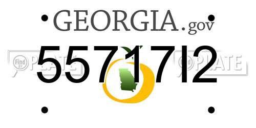 55717I2 Georgia License Plate