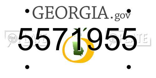 5571955 Georgia License Plate