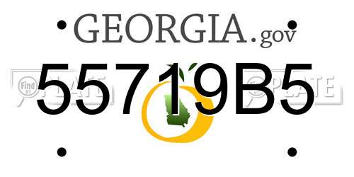 55719B5 Georgia License Plate