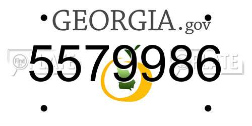 5579986 Georgia License Plate