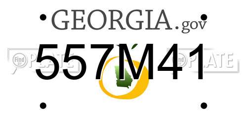 557M41 Georgia License Plate