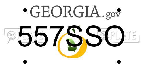 557SSO Georgia License Plate