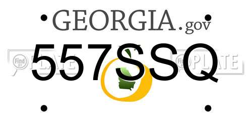 557SSQ Georgia License Plate