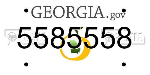 5585558 Georgia License Plate