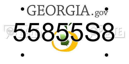 55855S8 Georgia License Plate
