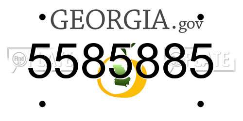5585885 Georgia License Plate