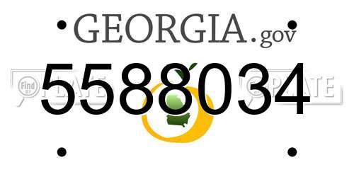 5588034 Georgia License Plate