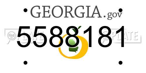 5588181 Georgia License Plate