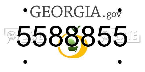 5588855 Georgia License Plate