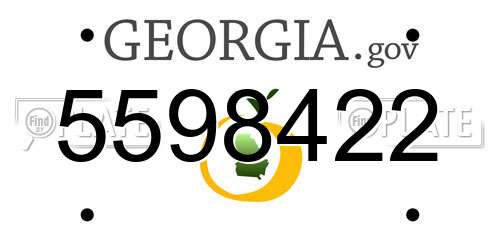5598422 Georgia License Plate