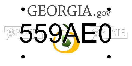 559AE0 Georgia License Plate