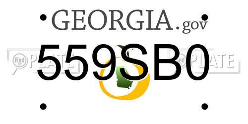559SB0 Georgia License Plate