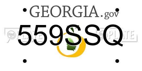 559SSQ Georgia License Plate