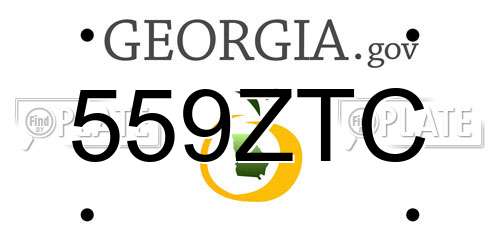 559ZTC Georgia License Plate