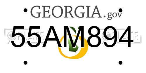 55AM894 Georgia License Plate