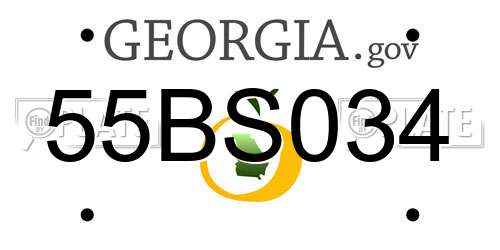 55BS034 Georgia License Plate