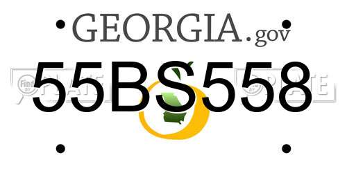 55BS558 Georgia License Plate