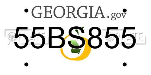 55BS855 Georgia License Plate