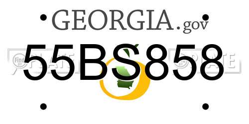 55BS858 Georgia License Plate