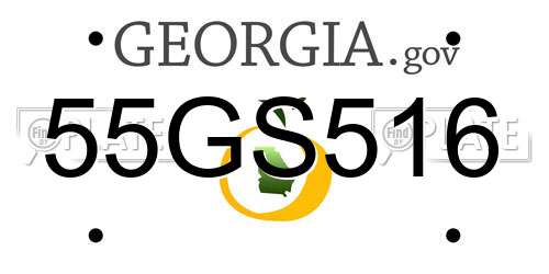 55GS516 Georgia License Plate
