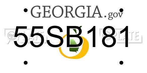 55SB181 Georgia License Plate