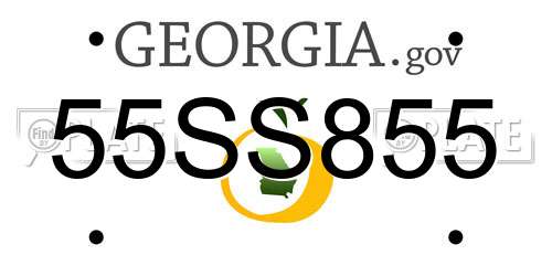 55SS855 Georgia License Plate