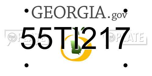 55TI217 Georgia License Plate