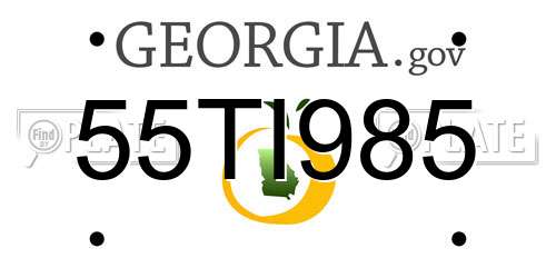 55TI985 Georgia License Plate