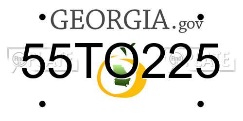 55TO225 Georgia License Plate