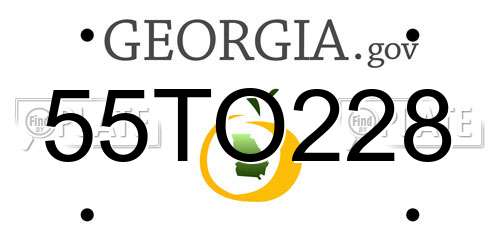 55TO228 Georgia License Plate
