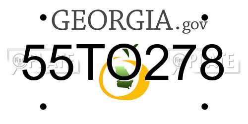 55TO278 Georgia License Plate