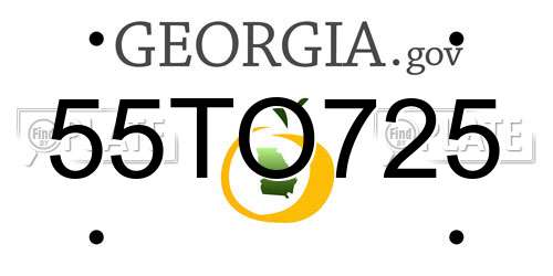 55TO725 Georgia License Plate