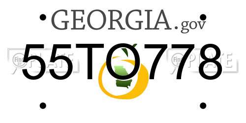 55TO778 Georgia License Plate