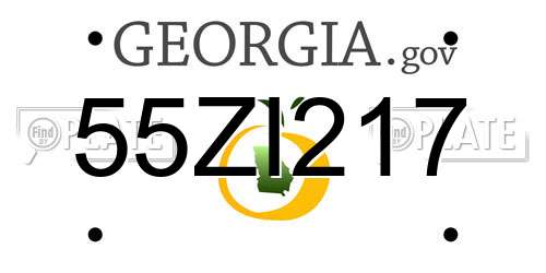 55ZI217 Georgia License Plate