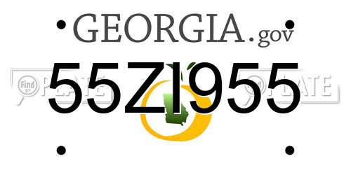 55ZI955 Georgia License Plate